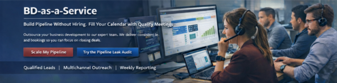 Fractional Business development services